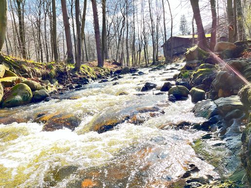 Ilsetal im März