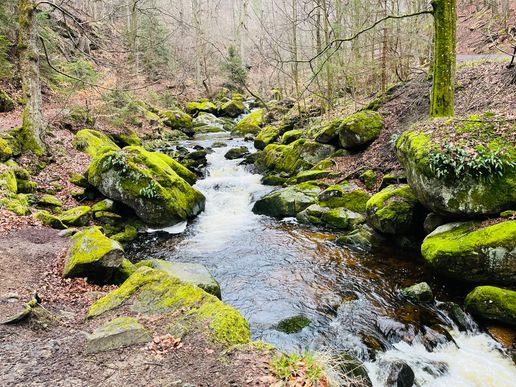 Ilsetal im März