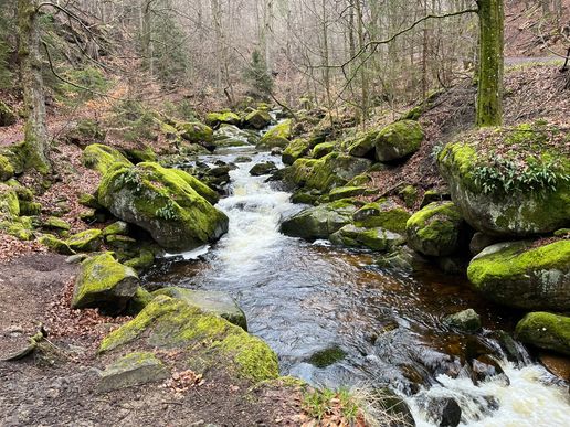 Ilsetal im März