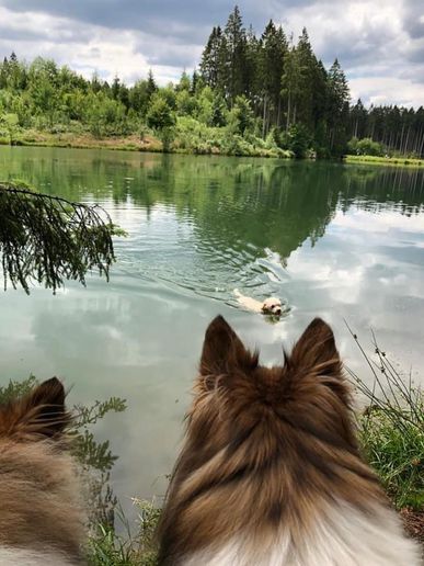 Auf dem Liebesbankweg in Hahnenklee