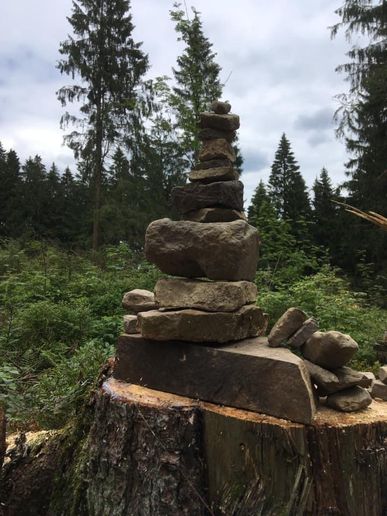 Auf dem Liebesbankweg in Hahnenklee