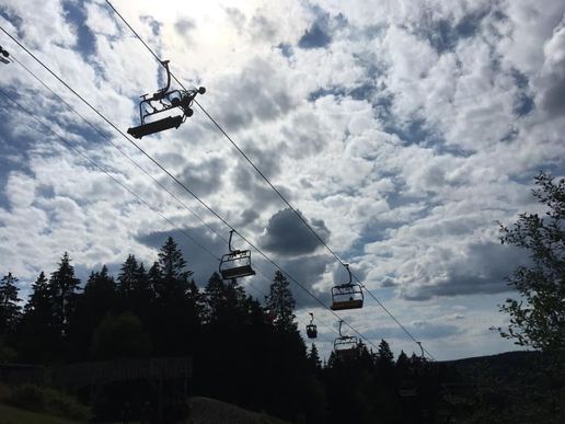 Auf dem Liebesbankweg in Hahnenklee