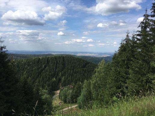 Auf dem Liebesbankweg in Hahnenklee