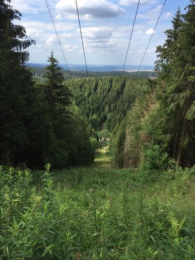 Auf dem Liebesbankweg in Hahnenklee