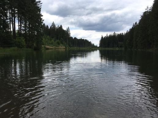 Auf dem Liebesbankweg in Hahnenklee