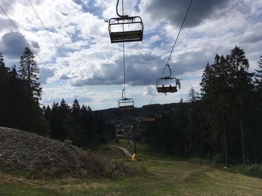 Auf dem Liebesbankweg in Hahnenklee