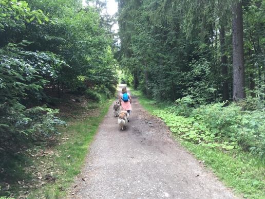 Auf dem Liebesbankweg in Hahnenklee