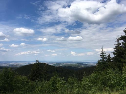 Auf dem Liebesbankweg in Hahnenklee