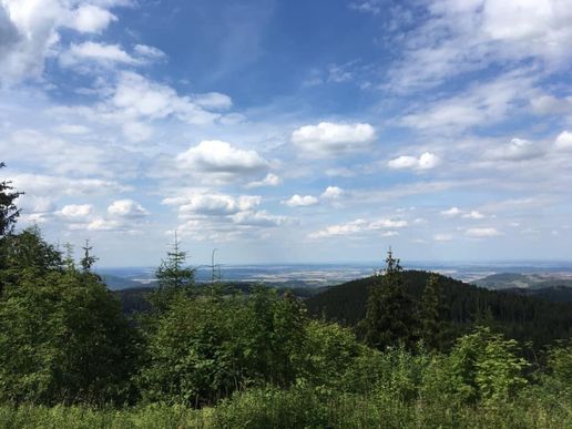 Auf dem Liebesbankweg in Hahnenklee