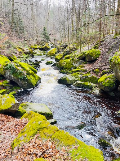 Ilsetal im März