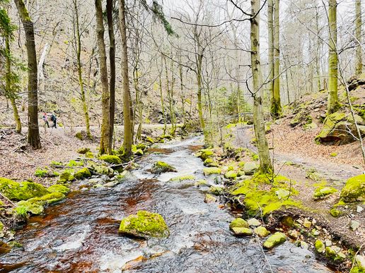 Ilsetal im März