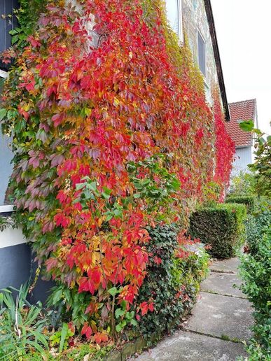 Unser Haus im Herbst 